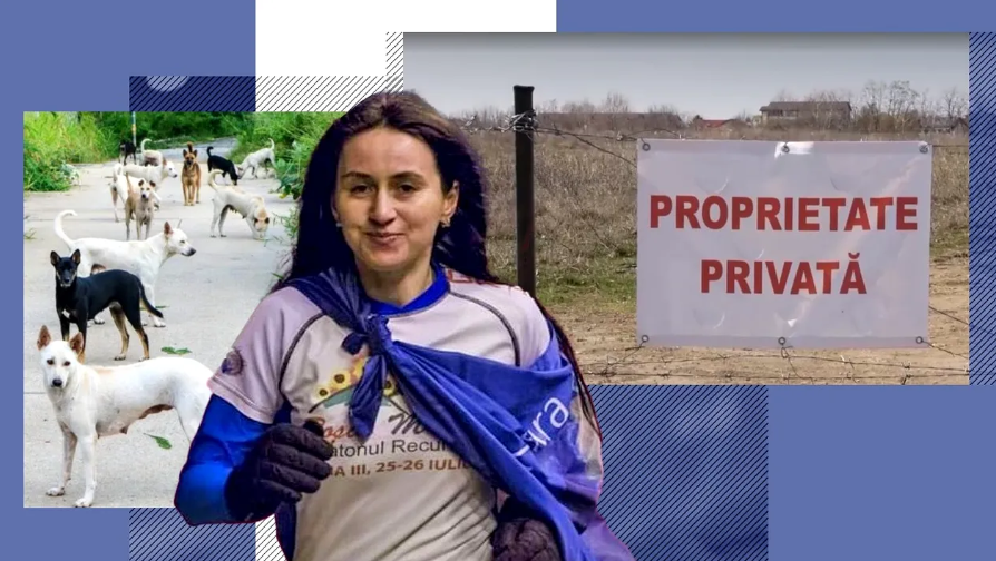Dosarul morții Anei Oroș s-a închis, iar pe terenul unde a fost ucisă de câini se pregătesc blocurile