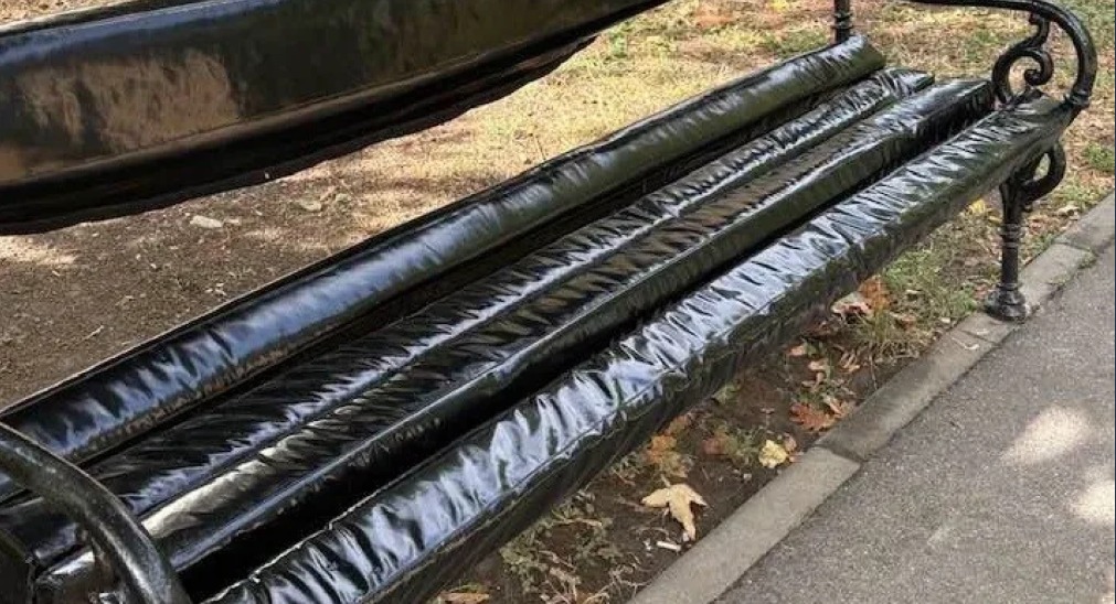 Controverse în Timișoara după instalarea unor bănci cu tapițerie de vinil în Parcul Botanic